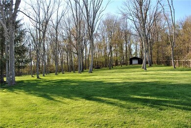 View of back yard from the deck.