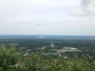 IMG_2017
