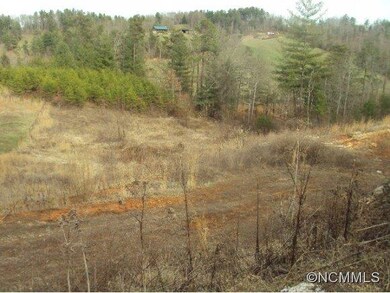 15 Trent Dr, Leicester, NC 28748 - photo 6