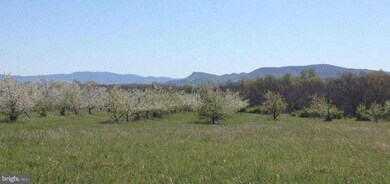 0 Buffalo Marsh Rd unit 1001322905, Middletown, VA 22645 - photo 3