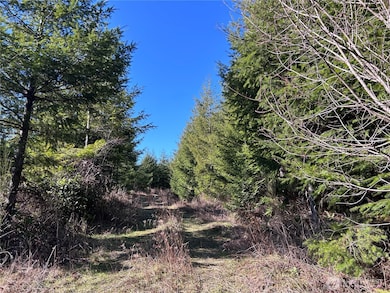 0 NKA Salmon Creek Rd, Toledo, WA 98591 - photo 5