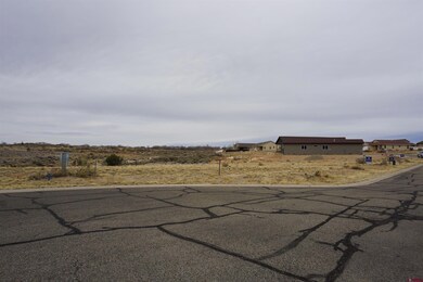 1109 Bluffs Blvd, Cortez, CO 81321 - photo 6