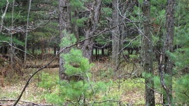 0 Fremont unit 1705842, Byron, WI 54660 - photo 6