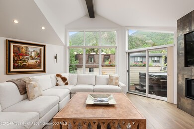 927 E Durant Ave unit 3, Aspen, CO 81611 - photo 5