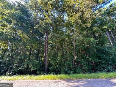 0 High Falls Rd unit 10592774, Jackson, GA 30233 - photo 7