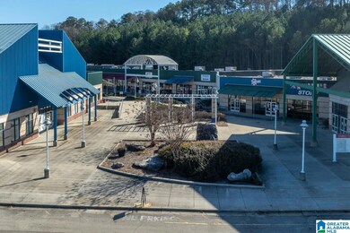 4500 Katies Way, Bessemer, AL 35022 - photo 6