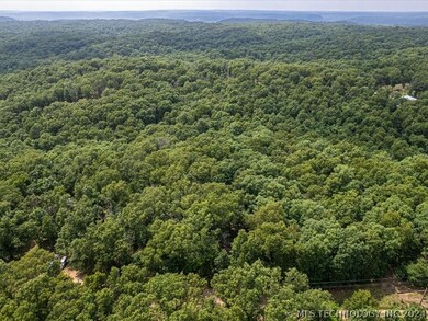 6375 Red Corn Ridge Rd, Proctor, OK 74457 - photo 4