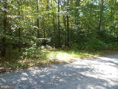 0 Dawsonville Ln unit 1000999511, Ruckersville, VA 22968 - photo 6