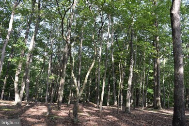 0 Pioneer Trail unit WVMO2003510, Great Cacapon, WV 25422 - photo 3