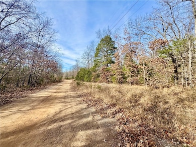 TBD Old Cabin Rd, Winslow, AR 72959 - photo 3