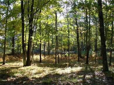 Land/Lot.