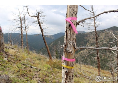 0 Gold Trail, Gold Hill, CO 80302 - photo 7