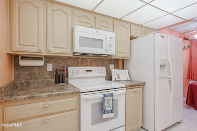 14022 N Palm Ridge Dr W, Sun City, AZ 85351 - photo 4