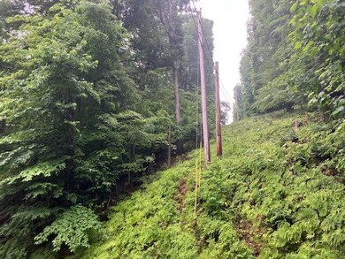 2057 Yana Ln, Hide A Way Hills, OH 43107 - photo 7