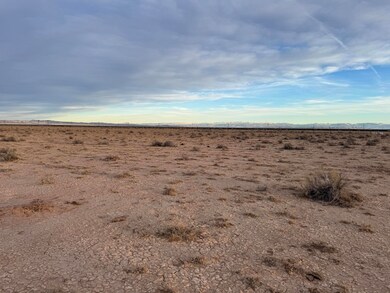 007. South View 1