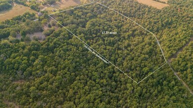 1755 State Hwy O- Tract C, Kissee Mills, MO 65680 - photo 2