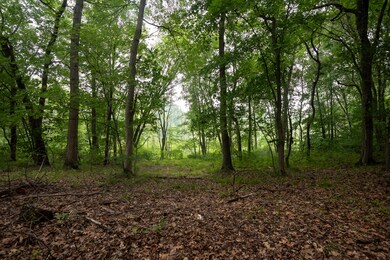 Site
