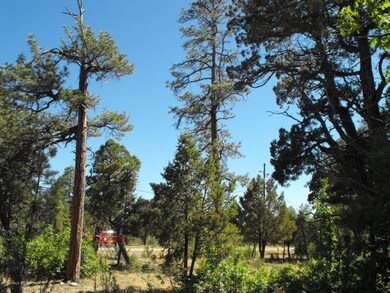 Lot 197 Tamarron 4