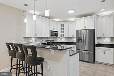 24661 Woolly Mammoth Terrace unit 303, Aldie, VA 20105 - photo 2