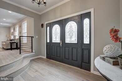 8003 Pyracantha Ct, Springfield, VA 22153 - photo 7