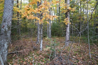 6149 N Ride Outs Rd, Foster City, MI 49834 - photo 3