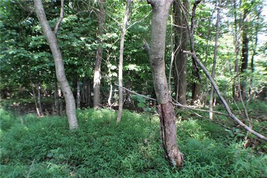 5775 Handwerk Rd, Germansville, PA 18053 - photo 6