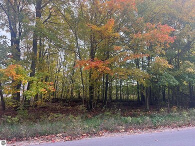 00 E Cherry Ln unit 174, Cedar, MI 49621 - photo 3