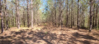 355 Hillbrook Dr, Linden, TN 37096 - photo 5