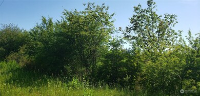 32524 Old 99 N, Stanwood, WA 98292 - photo 4