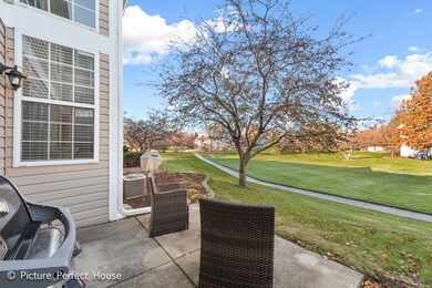 3816 Petra Ct, Naperville, IL 60564 - photo 3