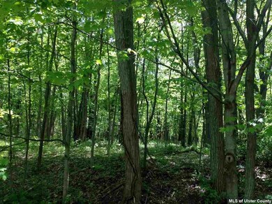 TBD Lucas Ave, Accord, NY 12404 - photo 3