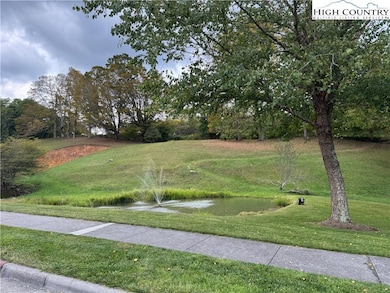 10 Orchard Ln, Banner Elk, NC 28604 - photo 4