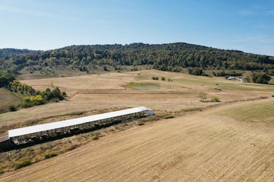 17 Elihu Cabin Hollow Rd, Somerset, KY 42501 - photo 3