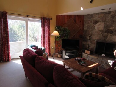 41 High Point Dr unit E-32, Stratton, VT 05360 - photo 6