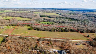 Tract B Potters Rd, Buffalo, MO 65622 - photo 5