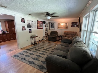 Living area with ornamental molding, light wood-style flooring, a ceiling fan, and a textured ceiling