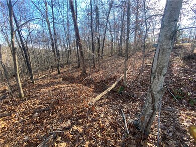 0 Lots 15 & 16 Nidd Ln unit 1262577, Bella Vista, AR 72714 - photo 4