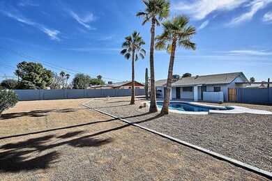 Backyard2