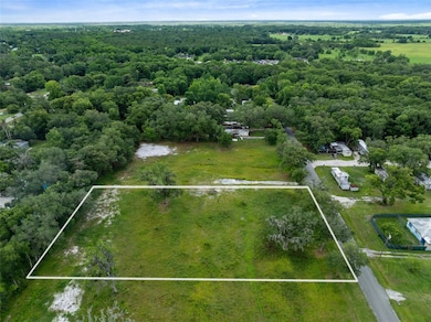 0 Wilson Rd, Bithlo, FL 32833 - photo 4