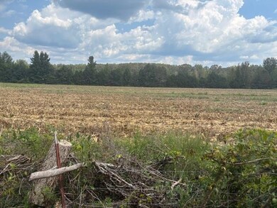 110 Reaves Rd, Middleton, TN 38052 - photo 7