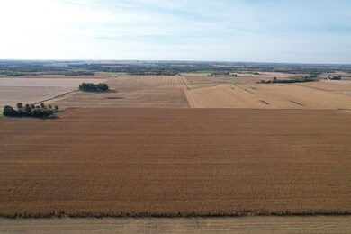 1229 Township Road 1800e, Biggsville, IL 61418 - photo 4