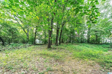 2415 Ormond Dr, Center Point, AL 35215 - photo 3