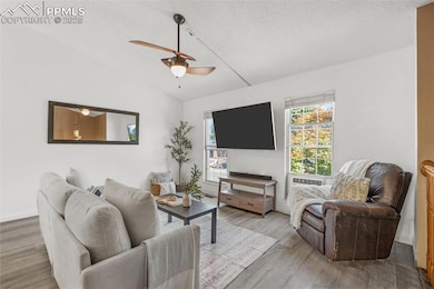Living room with lofted ceiling, a ceiling fan, wood finished floors, and a textured ceiling