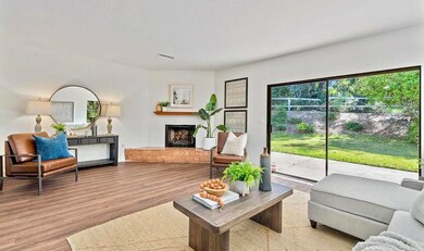 3151 Via de Caballo, Encinitas, CA 92024 - photo 7