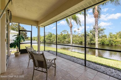 Back Patio