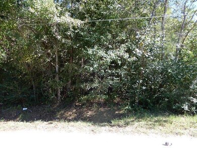 60 Brown St, Atmore, AL 36502 - photo 3