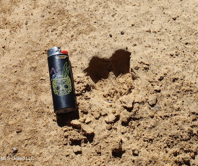 2108 Joel Lang Rd, McComb, MS 39648 - photo 3