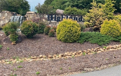 Additional View