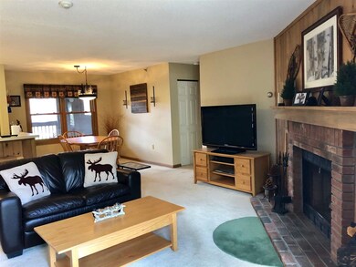 79 Riverfront Dr unit 196, Woodstock, NH 03262 - photo 7