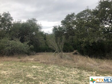 1015 Las Brisas Dr, Canyon Lake, TX 78133 - photo 5